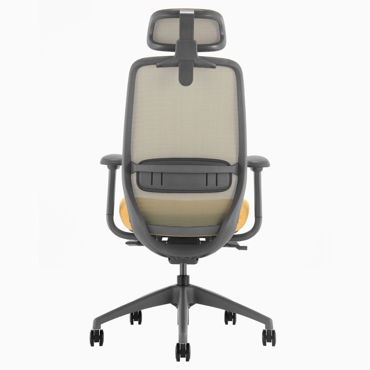 Desky Coilflex Ergonomic Office Chair