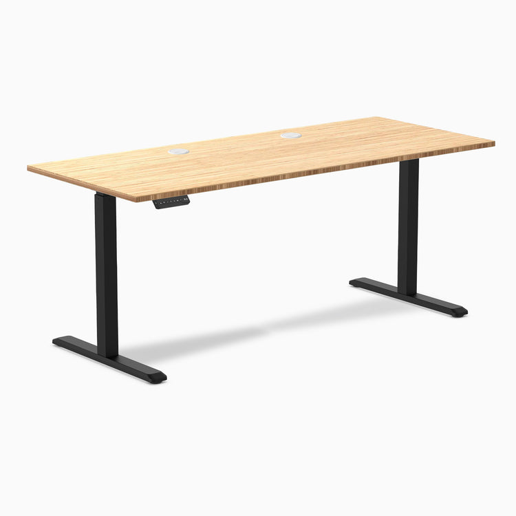 Desky Single Sit Stand Desk