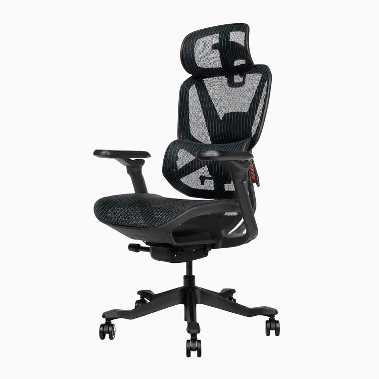 Contourra ergonomic office chair in black