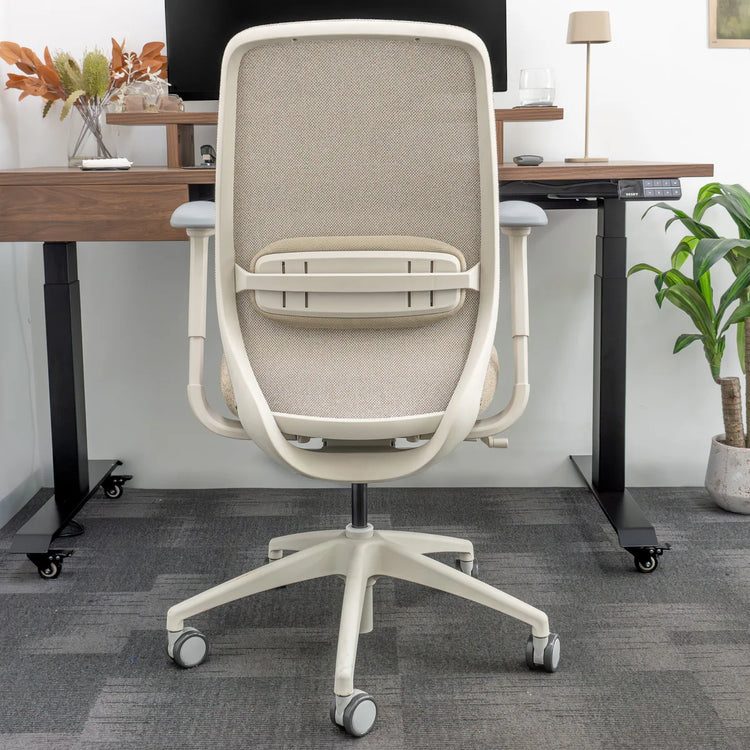Desky Coilflex Ergonomic Office Chair