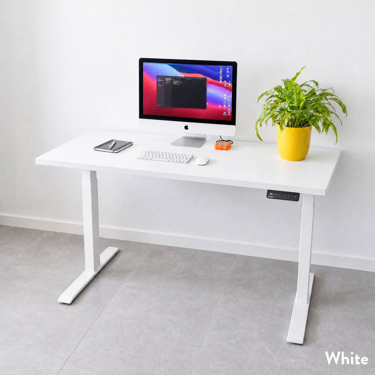 Desky Eco Single Sit Stand Desk Frame