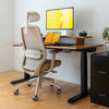 Desky Coilflex Ergonomic Office Chair image 3
