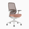 Desky Coilflex Ergonomic Office Chair image 77