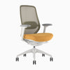 Desky Coilflex Ergonomic Office Chair image 44