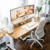 Desky Coilflex Ergonomic Office Chair image 4