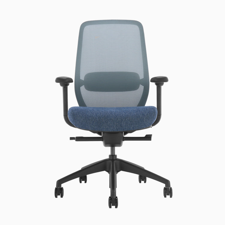 Blue coilflex ergoinomic chair - Desky