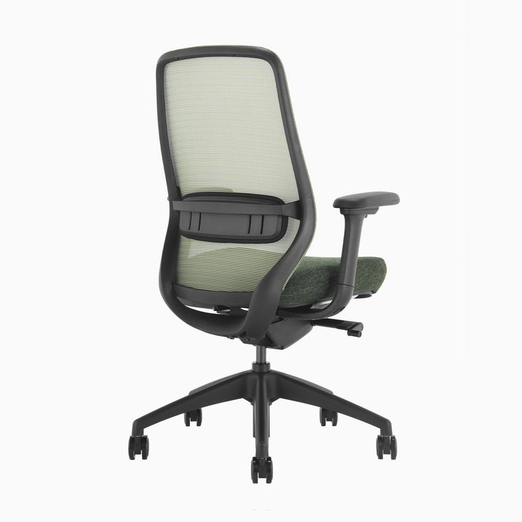 Coilflex system ergo chair in green - Desky