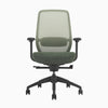 Green ergonomic coilflex chair 