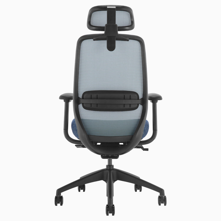 Blue coilflex spring mechanism ergo chair