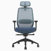 Blue Coilflex ergonomic chair - Desky