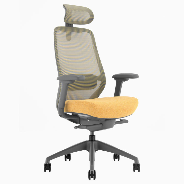 Desky Coilflex Ergonomic Office Chair