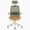 Desky Coilflex Ergonomic Office Chair image 72