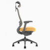 Desky Coilflex Ergonomic Office Chair image 71