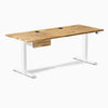 Desky Dual Hardwood Standing Desk With Drawer image 203