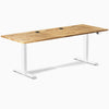 Desky Dual Hardwood Sit Stand Desk image 220