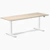 Desky Dual Laminate Sit Stand Desk image 227