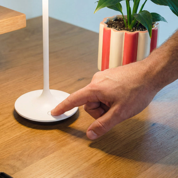 Desky cordless lamp adjustable brightnes and light temperature