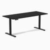 Desky Single Sit Stand Desk image 51