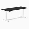 Desky Single Sit Stand Desk image 52