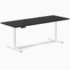 Desky Single Sit Stand Desk image 55