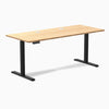 Desky Single Sit Stand Desk image 97