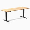 Desky Single Sit Stand Desk image 101