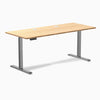 Desky Single Sit Stand Desk image 100
