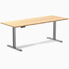 Desky Single Sit Stand Desk image 104
