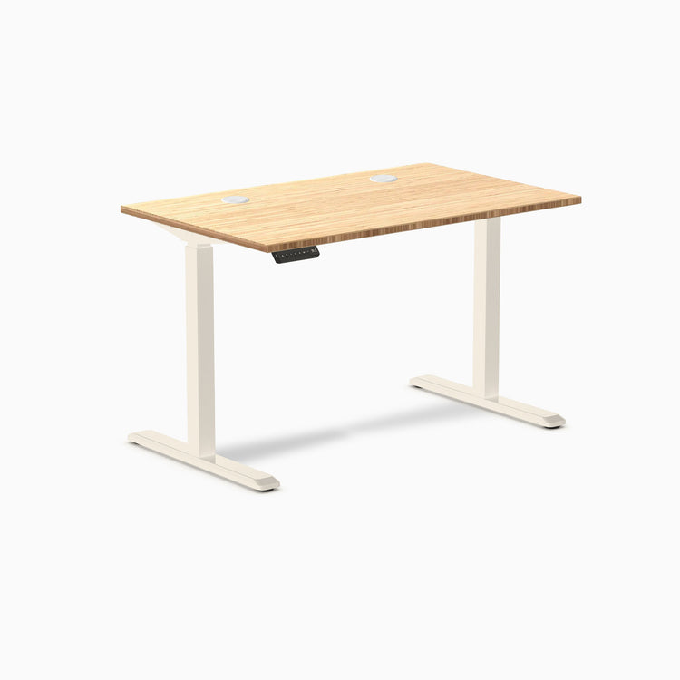 Desky Single Sit Stand Desk