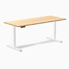 Desky Single Sit Stand Desk image 98
