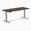 Desky Single Sit Stand Desk image 132