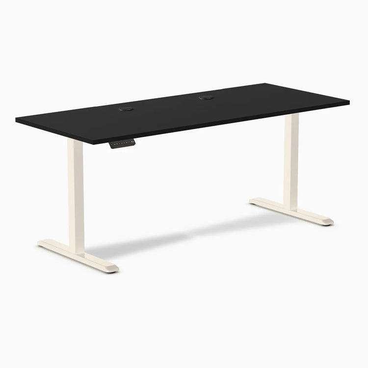 Desky Single Sit Stand Gaming Desk