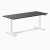 Desky Dual Laminate Sit Stand Desk-Desky®