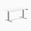 Desky Dual Laminate Sit Stand Desk-Desky®