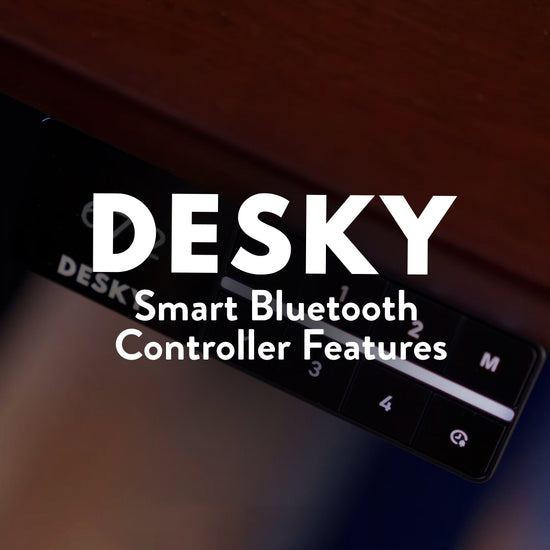 Desky Alpha Dual Sit Stand Gaming Desk image 3