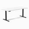 Desky Single Sit Stand Desk image 15