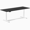 Desky Single Sit Stand Desk image 43