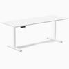 Desky Single Sit Stand Desk image 19